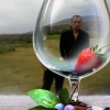 Ровшан Зейналов (142906959531369)  